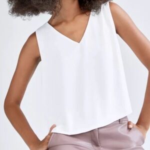 Aritzia - Babaton Murphy Blouse